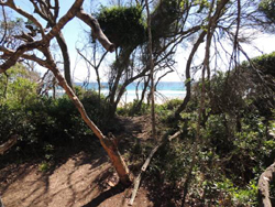 Moya Eco Lodge